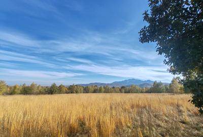 5.800 mp extravilan, Sohodol-Bran, retreat, cabane, off-grid ecoturism, panorama - 10