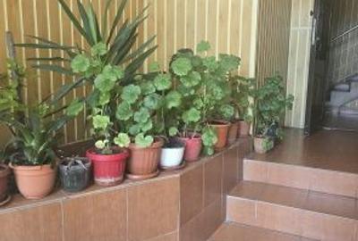 De vânzare apartament 2 camere decomandat | Zona 8 Mai - 3