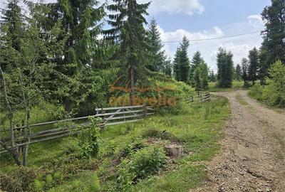 Teren de vanzare intravilan Dealu Negru, com.Calatele, jud. Cluj 1.500m²/25€ m² - 1