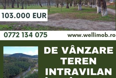 Teren Construcții intravilan de 3125 mp, în Vâlcele