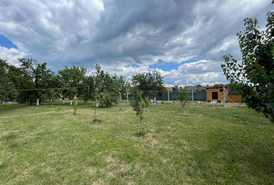 TEREN INTRAVILAN 8000 MP | PARTIAL IMPREJMUIT | PESTERE | BIHOR | - 3