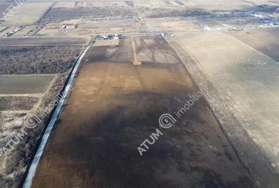 Teren agricol extravilan de 132903 mp, în Exterior Vest