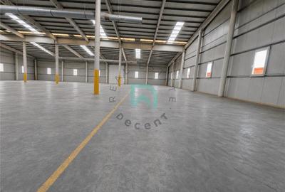 Hala de vanzare, productie, depozitare, desfacere, show-room - 2