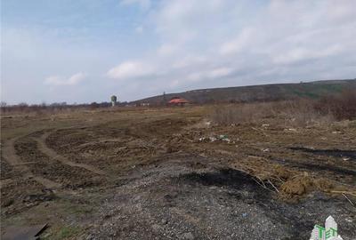 Teren intravilan de vanzare 28.200 mp Bucuresti Sector 6 - 11