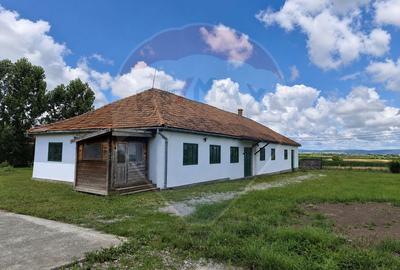 Casă individuală cu 7 camere în Lisnău