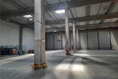 Spatiu Industrial - 4000 mp - Logistica - Productie - Depozitare - Distributie - 12