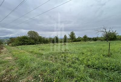 Teren intravilan de vânzare în Daia Nouă – 1.000 mp - 1