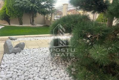 Vila de lux în Dumbrăvița cinci camere - 35
