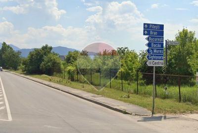 Teren agricol intravilan de 9139 mp, în Griviței