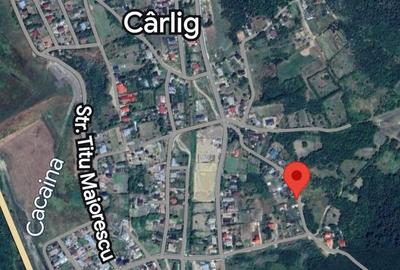 Teren cu priveliste superba in Carlig - 1