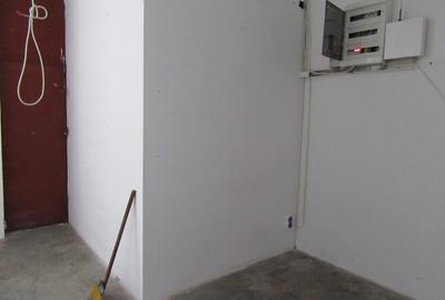 Inchiriere spatiu comercial Teiul Doamnei - 74mp - 27