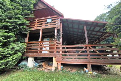 Cabana de vanzare in Capusu Mare - 1