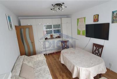 APARTAMENT 3 CAM CENTRALA, BRANCOVEANU HUEDIN - 8