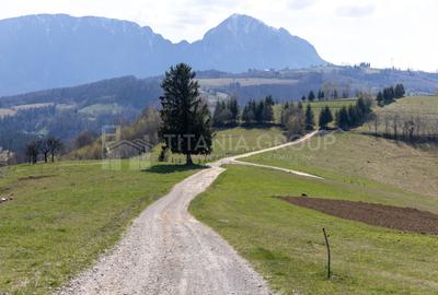 Teren Construcții intravilan de 3791 mp, în Poiana Mărului
