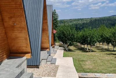 Vilă premium cu afacere la cheie, 6600 mp teren intravilan, Băile Felix, Bihor. - 2