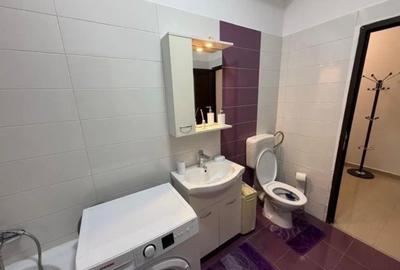 Garsonieră de închiriat Dobroești - 7