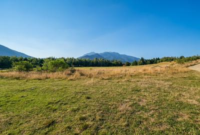 Teren de vânzare – Râșnov, zona Glejerie | 1.300 mp | Vedere spre Munții Bucegi - 4