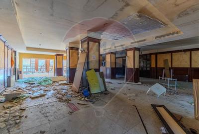 Activ Hotelier SubEvaluat | 18.000 mp construiti | 3 ha teren | BRASOV - 56