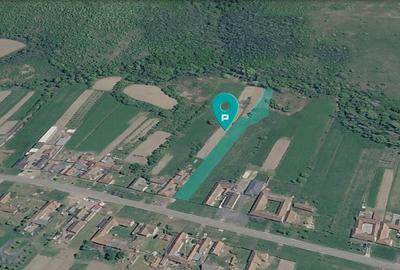Teren 3,024 mp in localitatea Dorgos - 1