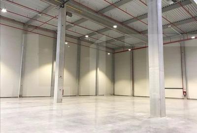 Spațiu industrial, de 2,400.00 mp, în Exterior Est