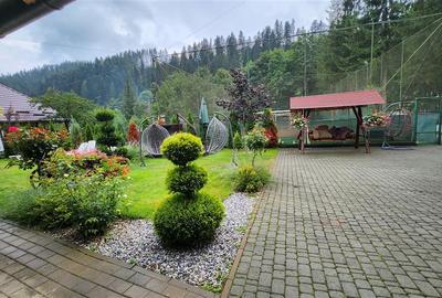 Penisune in Bucovina! Sucevita! De Vanzare! 0727817187 - 9