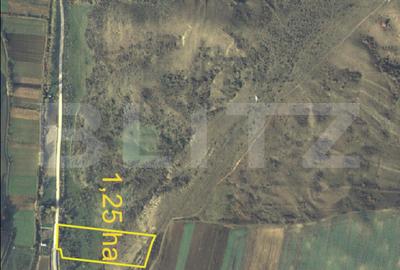 Teren agricol de 12515 mp, în Stejeriș