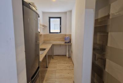 4 CAMERE - 187 MP - GRADINA 260 MP - FABRICA DE GLUCOZA - BARBU VACARESCU - 9