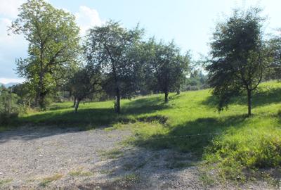 Teren Bran Sohodol , o zona de vis, o priveliste unica spre muntii Bucegi! - 12