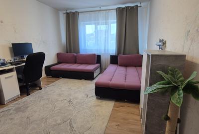 Apartament 2 camere decomandat Dancu - 13