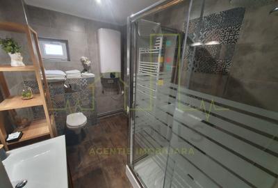 Casa + 5 apartamente + spatiu de inchiriat + parcari. Pretabil locuit + afacere - 15
