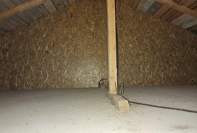 DUPLEX (LA GRI), P+1E+M, 122mpu, TEREN 248mp, CHIAJNA-ALEEA NUCILOR - 39