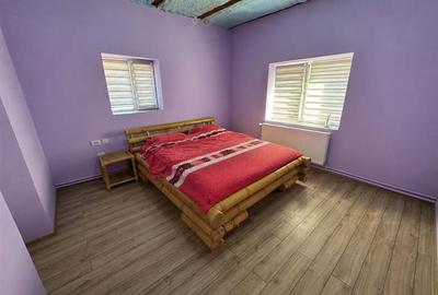 Casa 4 camere + 8418 mp de teren - 6