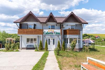 Casă individuală cu 8 camere în Bogonos