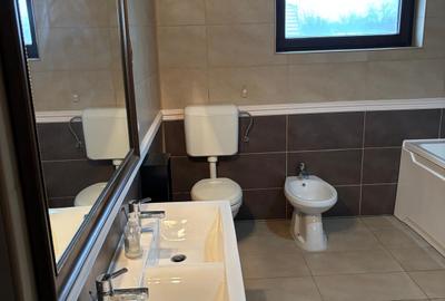 Casă spațioasă și curte generoasă, Titi Aur- destinații multiple - 6