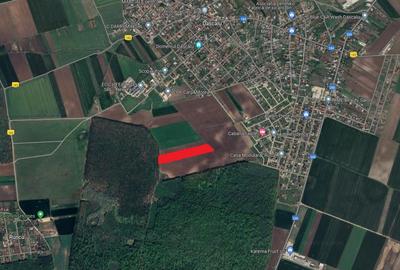 Teren intravilan 13.500 mp Dascalu - Padure Runcu - 3