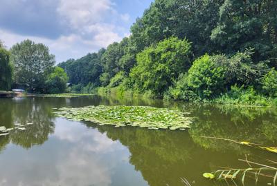 VANZARE TEREN ACCES LAC - 1