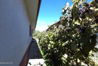 Castelu - Str. Florilor, casa din 2012, teren 737 mp si 106 mp utili - 28