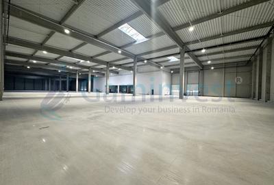Spațiu industrial, de 6,606.00 mp, în Biharia