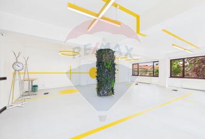 Spațiu comercial / birouri Piata Unirii - 12