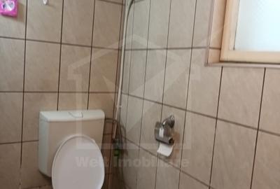 Vanzare casa individuala Someseni - 8