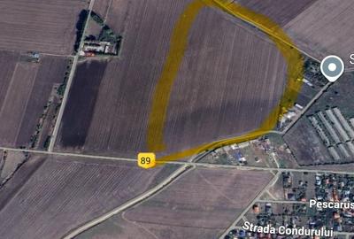 Ocazie! Investitie! 10 hectare, teren, Constanta, Ovidiu - 4