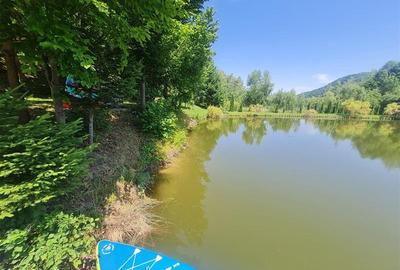 Refugiu idilic cu oglinda de apa, panorama montana, Glajerie/Rasnov, ideal mini - 16