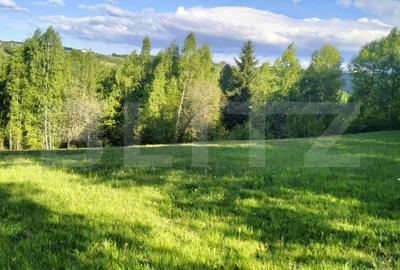 Teren agricol extravilan de 7000 mp, în Gilău