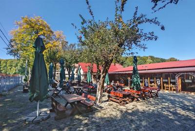 Oportunitate de business: complex turistic cu restaurant, terase si pensiune – S - 1