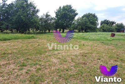 Teren Construcții intravilan de 1100 mp, în Turnișor
