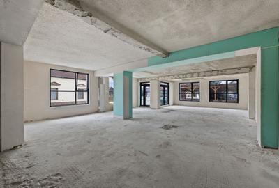 Spatiul Comercial Semifinisat, P+E de inchiriat Beliu Arad, Traffic - 13