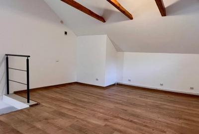 Spatiu comercial de inchiriat, 50 mp, zona Piata Cipariu - 3