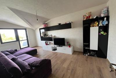Apartament cu 2 camere, mobilat în Viziru 2