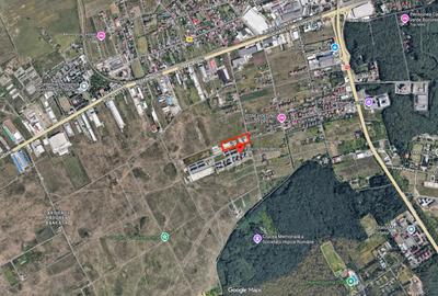 Teren intravilan cu PUZ 1Ha zona Padurea Baneasa - 1