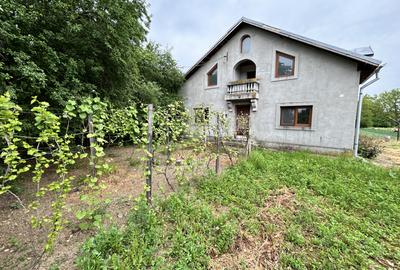 Casă individuală cu 7 camere în Zidurile